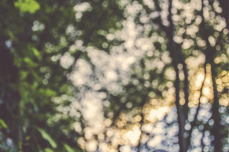 For Frequent Travellers